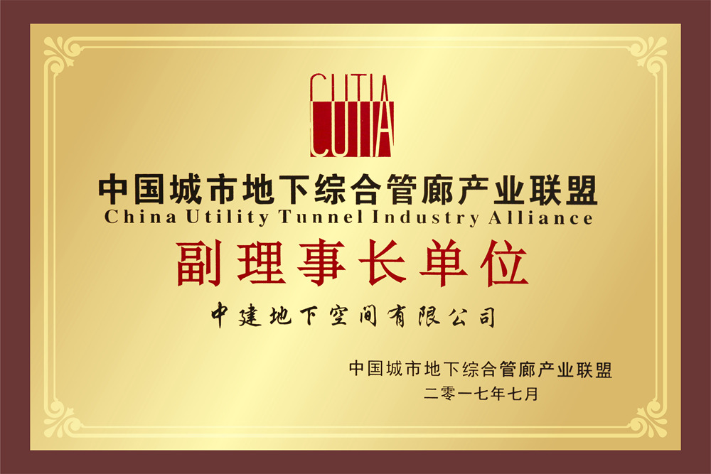 9 中国城市地下综合管廊产业联盟副理事长单位 -压缩13.jpg