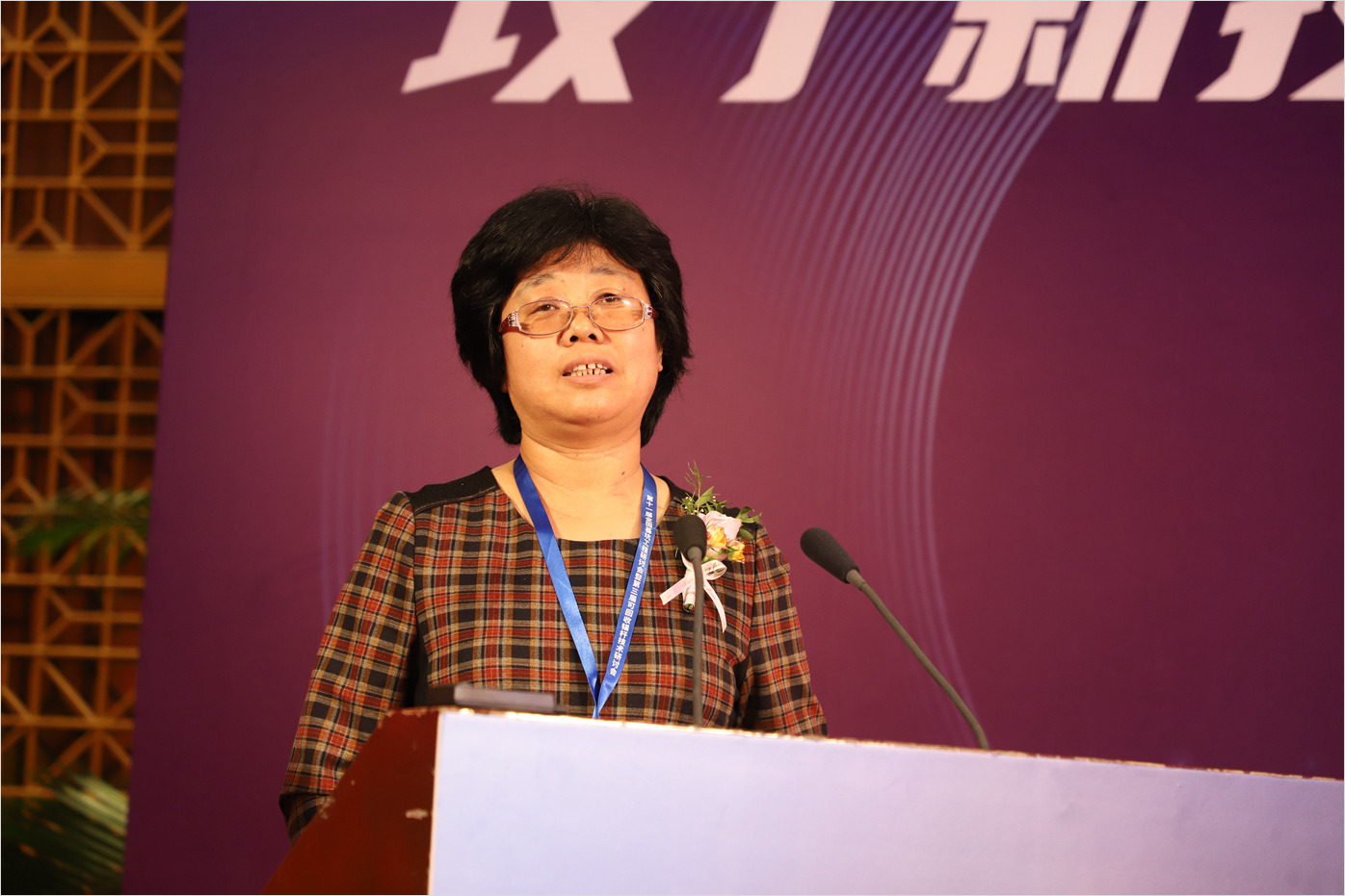 size-中国建筑学会建筑施工分会基坑工程技术部郭红仙秘书长 IMG_2700.jpg