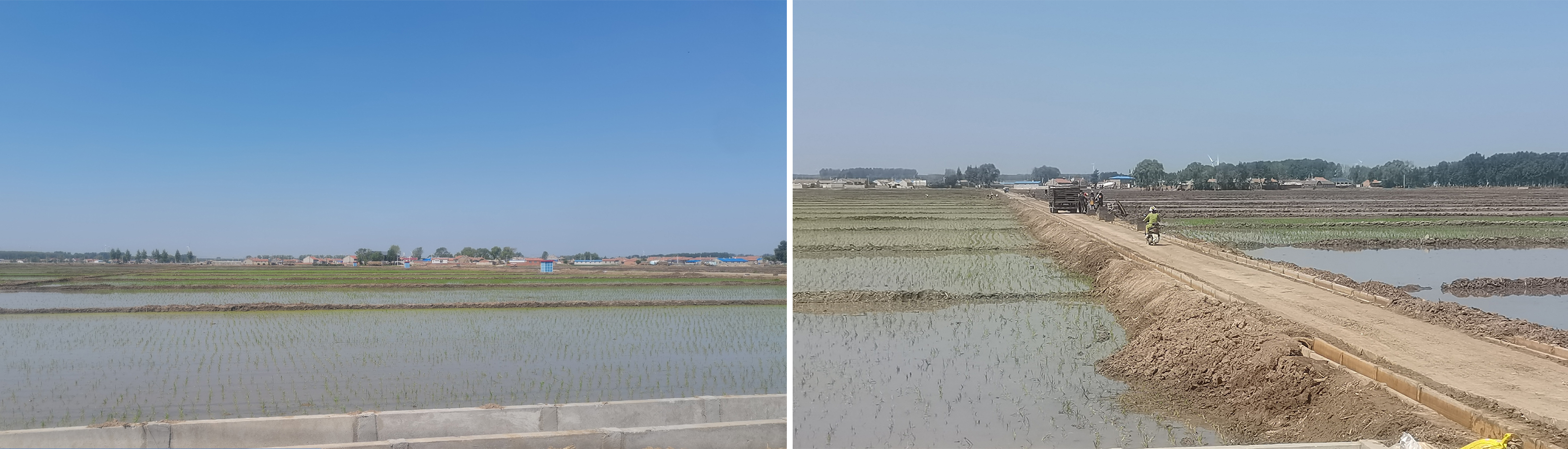 “旱改水”稻花飘香!中建地下空间公司辽宁农田改造、旱田改水田项目顺利投用!