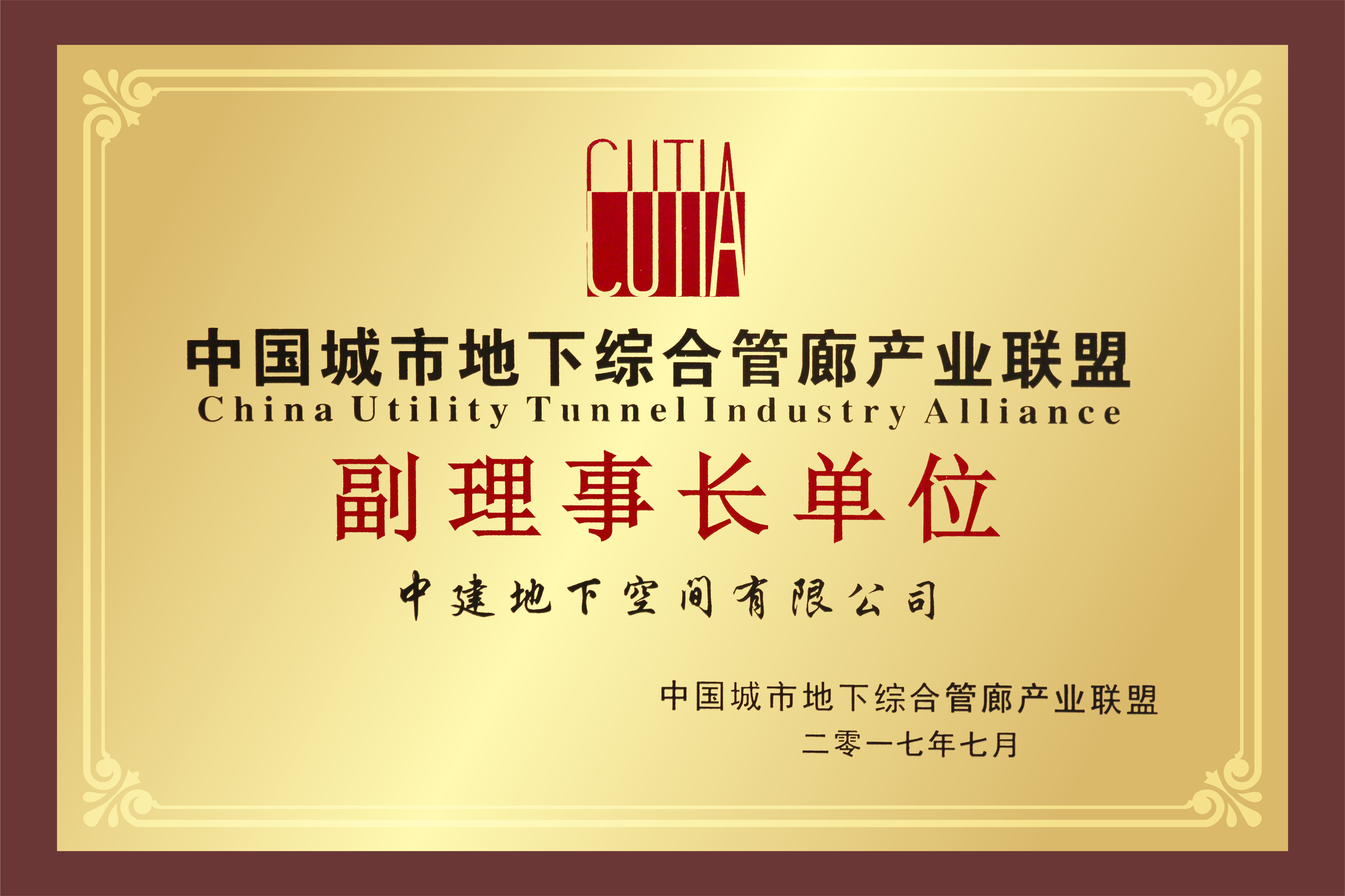 2-中国城市地下综合管廊产业联盟副理事长单位.jpg