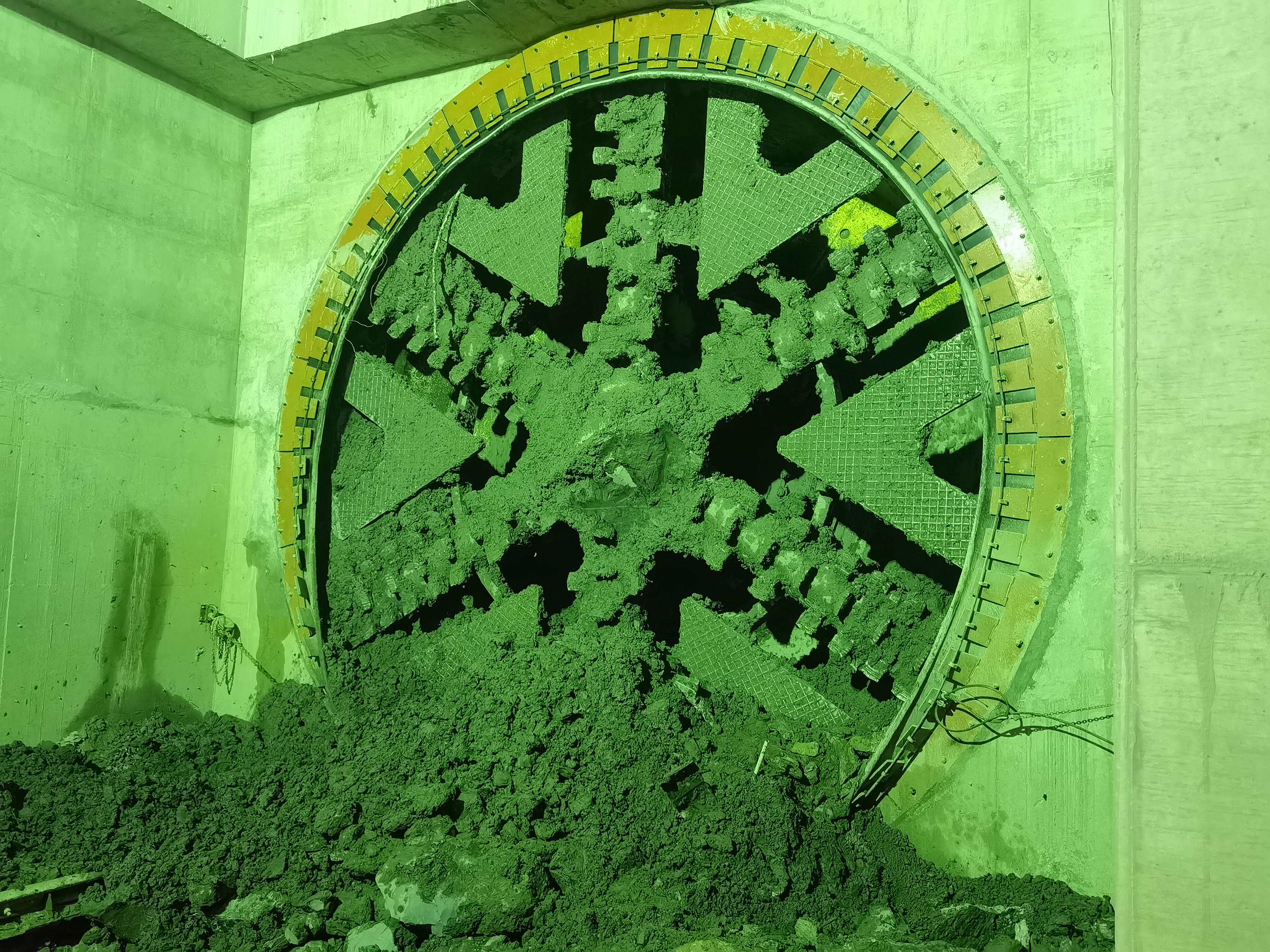 2022.7.2 IMG_20220702_破土.jpg