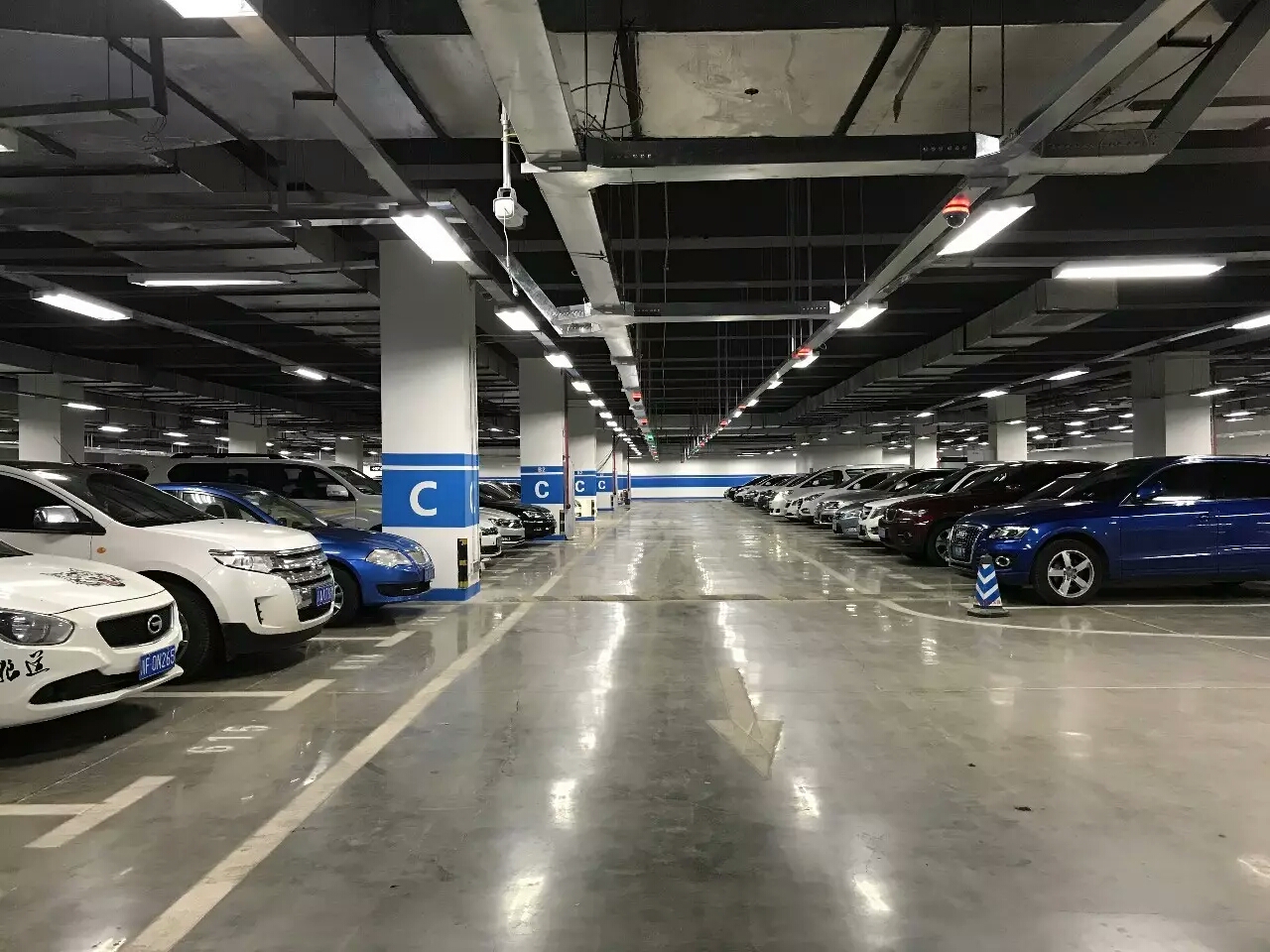 mmexport1515598377311.jpg