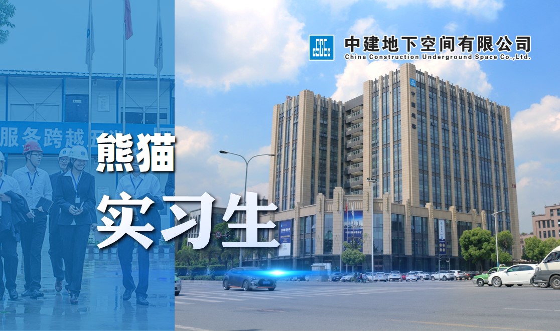 熊猫实习生封面.jpg
